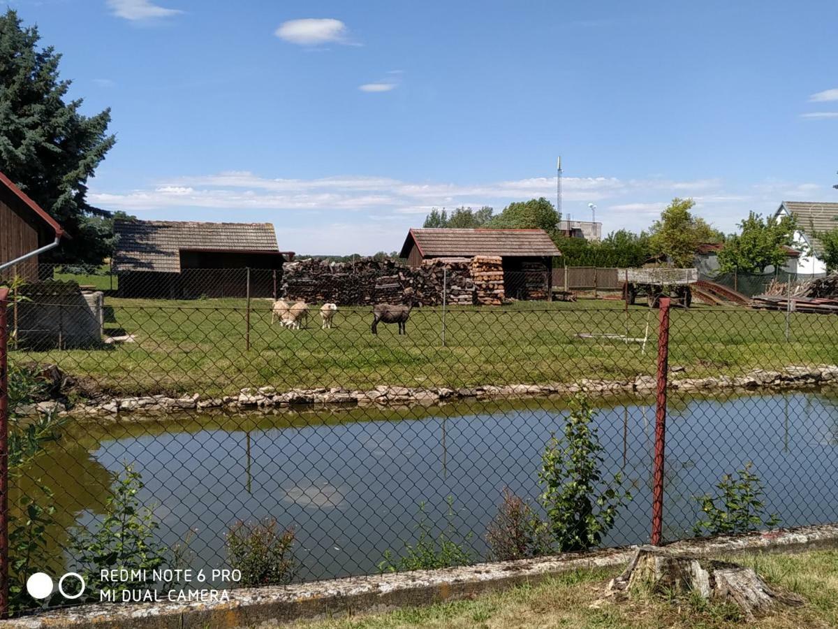 Ubytovani Ve Stodole Straz nad Nezarkou Exterior photo